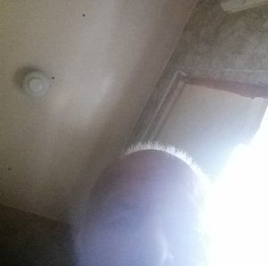 Meet your Posher, Ronald